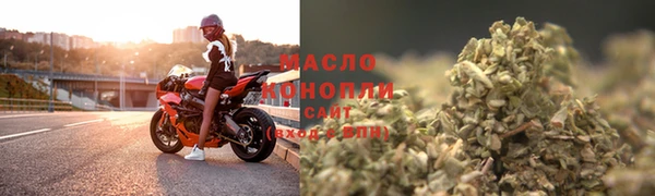 мдпв Богородицк