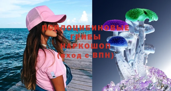 эйфоретик Беломорск