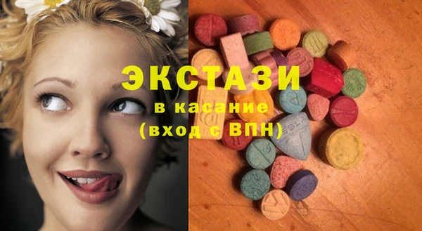 мдпв Богородицк