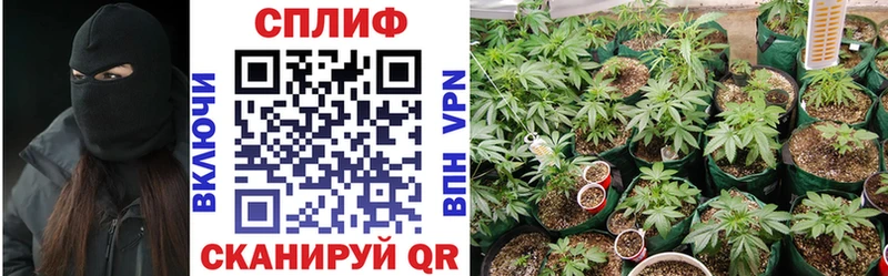 купить   Тогучин  Каннабис гибрид 